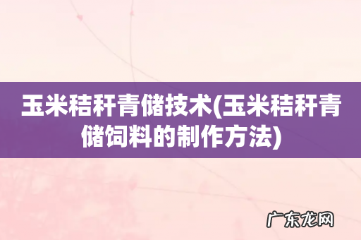 玉米秸秆青储饲料的制作方法 玉米秸秆青储技术