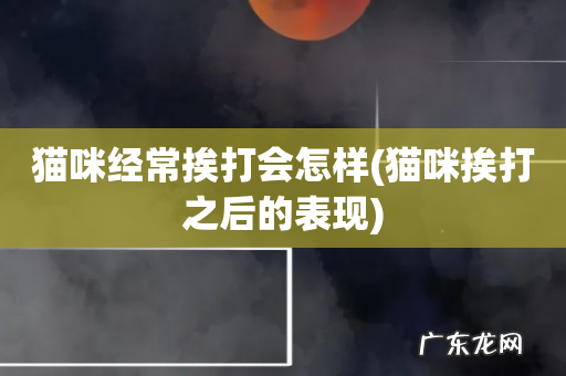 猫咪挨打之后的表现 猫咪经常挨打会怎样
