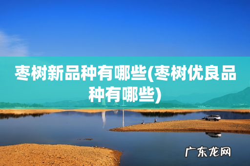 枣树优良品种有哪些 枣树新品种有哪些