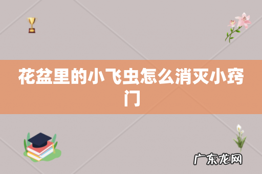 花盆里的小飞虫怎么消灭小窍门