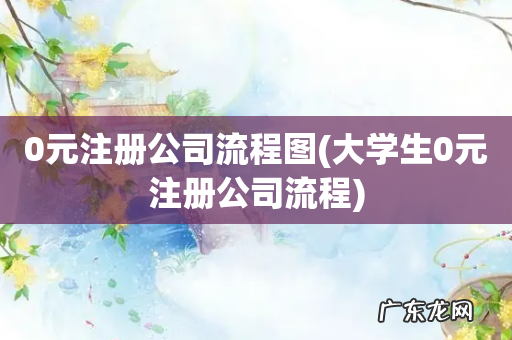 大学生0元注册公司流程 0元注册公司流程图