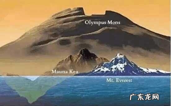 冷门的生活健康小常识 生活冷门科学小知识大全