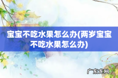 两岁宝宝不吃水果怎么办 宝宝不吃水果怎么办