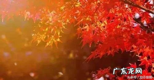 退休生活百科全书下载