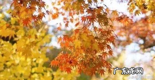 退休生活百科全书下载