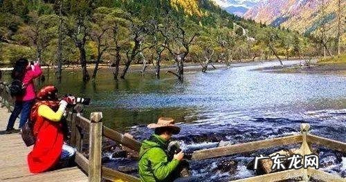 退休生活百科全书下载