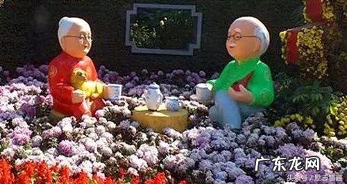 退休生活百科全书下载