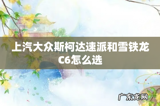 上汽大众斯柯达速派和雪铁龙C6怎么选