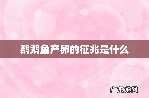 鹦鹉鱼产卵的征兆是什么