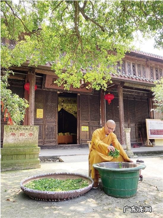 绍兴隐山寺怎么样 绍兴平阳寺无尘殿风水