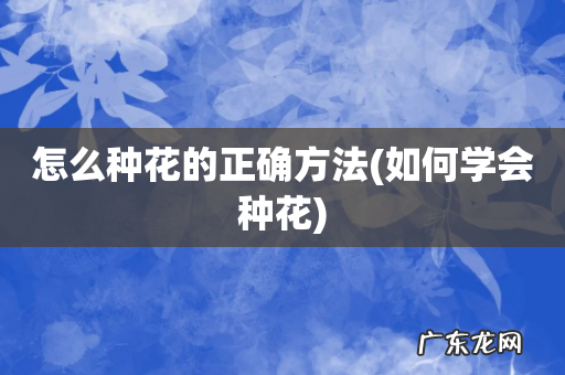 如何学会种花 怎么种花的正确方法