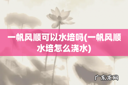 一帆风顺水培怎么浇水 一帆风顺可以水培吗