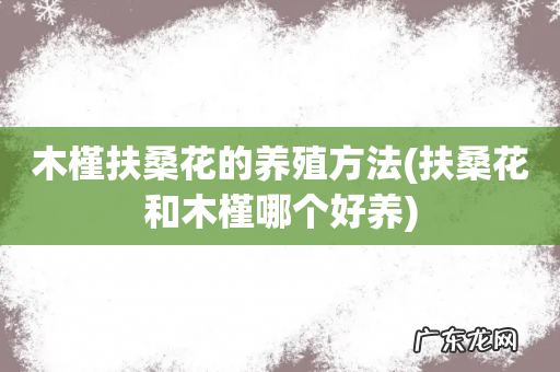 扶桑花和木槿哪个好养 木槿扶桑花的养殖方法