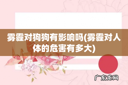 雾霾对人体的危害有多大 雾霾对狗狗有影响吗