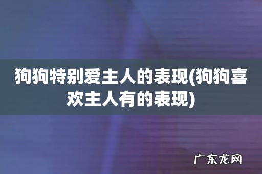 狗狗喜欢主人有的表现 狗狗特别爱主人的表现