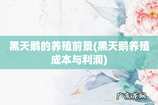 黑天鹅养殖成本与利润 黑天鹅的养殖前景