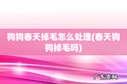 春天狗狗掉毛吗 狗狗春天掉毛怎么处理