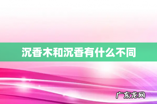 沉香木和沉香有什么不同