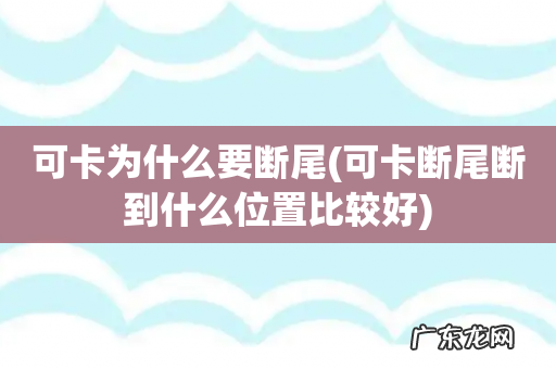 可卡断尾断到什么位置比较好 可卡为什么要断尾