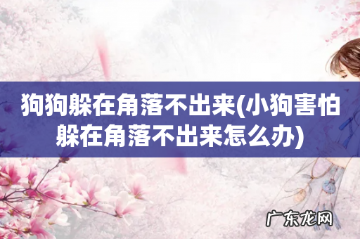 小狗害怕躲在角落不出来怎么办 狗狗躲在角落不出来