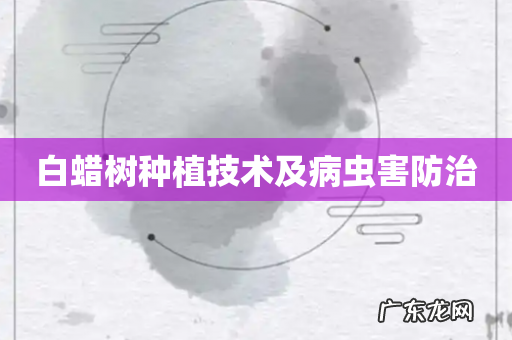 白蜡树种植技术及病虫害防治