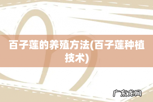 百子莲种植技术 百子莲的养殖方法