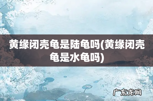 黄缘闭壳龟是水龟吗 黄缘闭壳龟是陆龟吗
