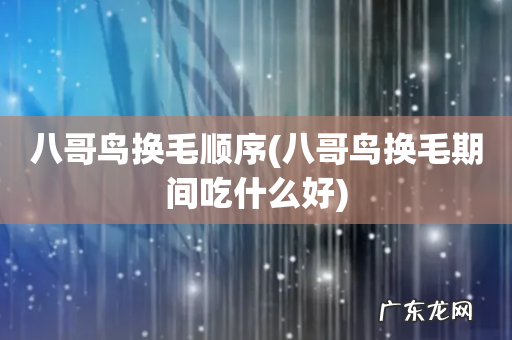 八哥鸟换毛期间吃什么好 八哥鸟换毛顺序