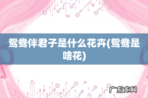 鸳鸯是啥花 鸳鸯伴君子是什么花卉
