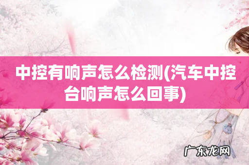 汽车中控台响声怎么回事 中控有响声怎么检测