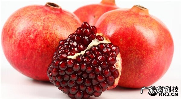 石榴籽能吃吗怎样吃 石榴籽可以吃吗吗