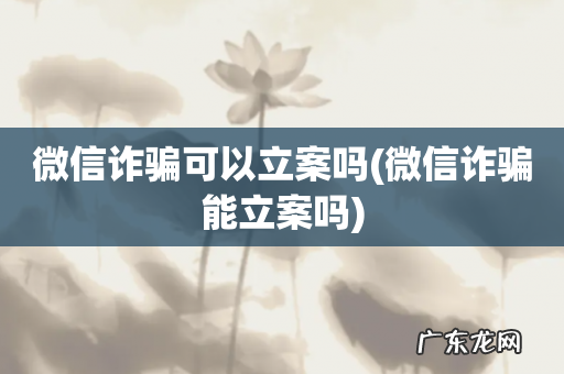 微信诈骗能立案吗 微信诈骗可以立案吗