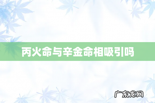 丙火命与辛金命相吸引吗