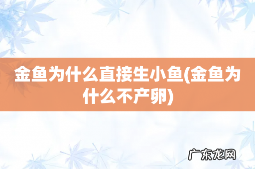 金鱼为什么不产卵 金鱼为什么直接生小鱼