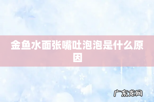 金鱼水面张嘴吐泡泡是什么原因