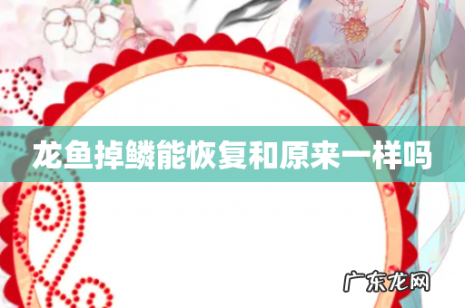 龙鱼掉鳞能恢复和原来一样吗