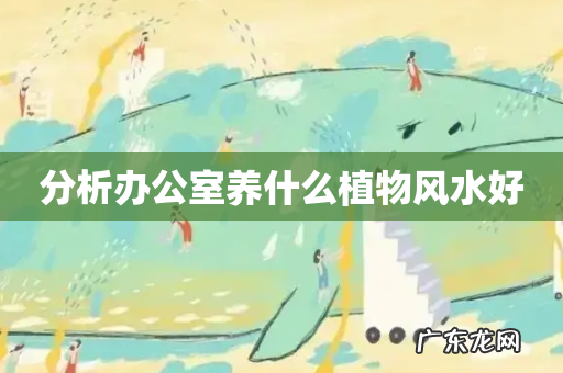 分析办公室养什么植物风水好