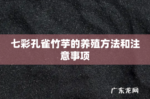 七彩孔雀竹芋的养殖方法和注意事项