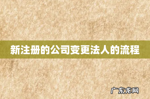 新注册的公司变更法人的流程
