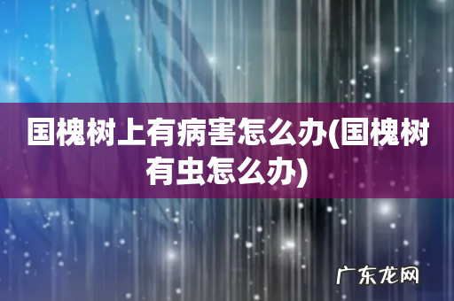 国槐树有虫怎么办 国槐树上有病害怎么办
