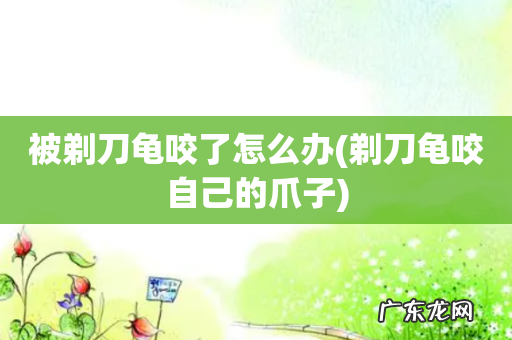 剃刀龟咬自己的爪子 被剃刀龟咬了怎么办