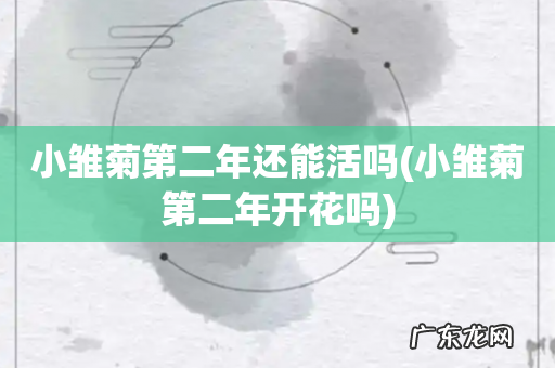 小雏菊第二年开花吗 小雏菊第二年还能活吗