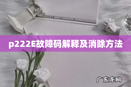 p222E故障码解释及消除方法