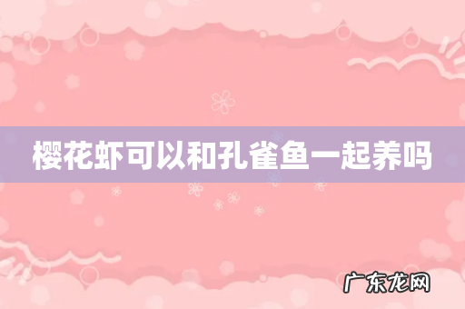 樱花虾可以和孔雀鱼一起养吗