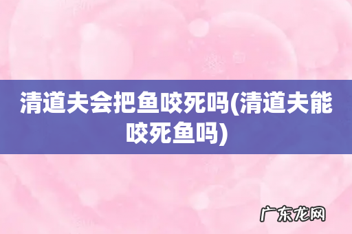 清道夫能咬死鱼吗 清道夫会把鱼咬死吗