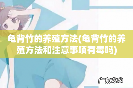 龟背竹的养殖方法和注意事项有毒吗 龟背竹的养殖方法