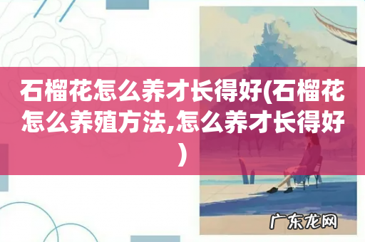 石榴花怎么养殖方法,怎么养才长得好 石榴花怎么养才长得好