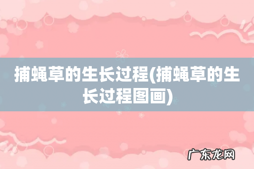 捕蝇草的生长过程图画 捕蝇草的生长过程