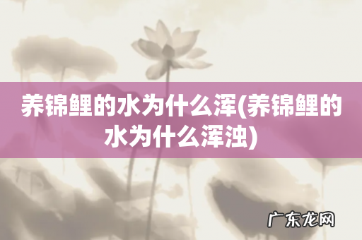 养锦鲤的水为什么浑浊 养锦鲤的水为什么浑