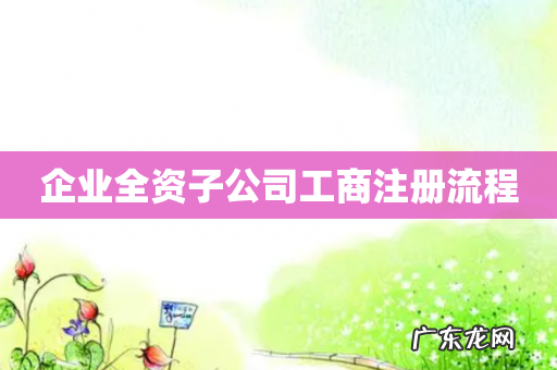 企业全资子公司工商注册流程